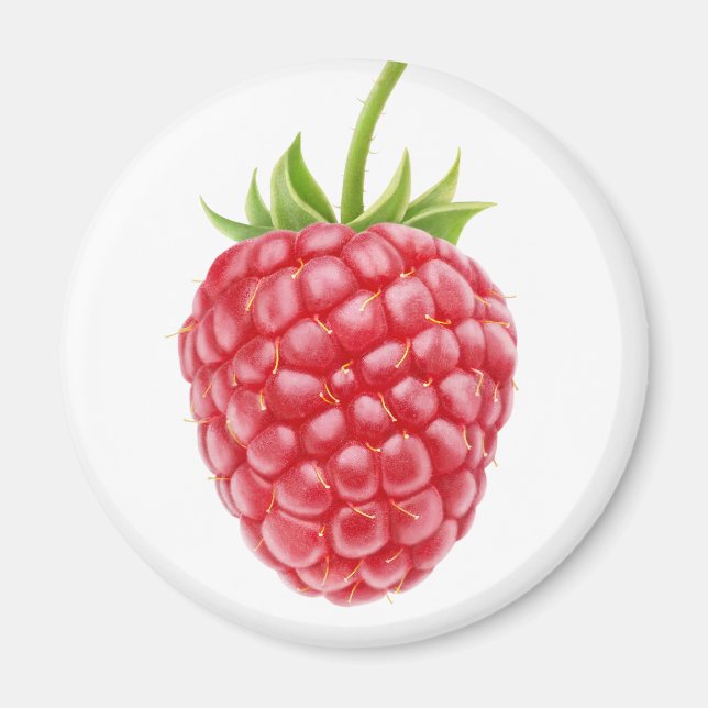 Imán Raspberry (Frente)