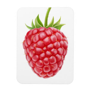 Imán Raspberry