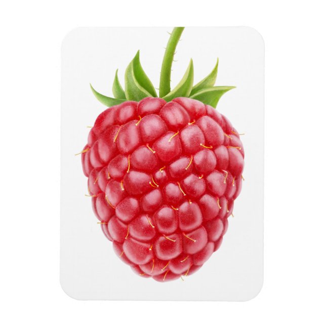 Imán Raspberry (Vertical)