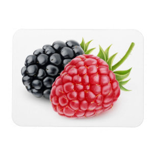 Imán Raspberry y mora