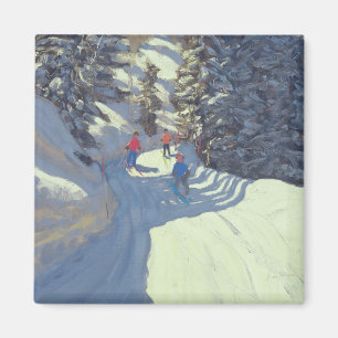 Imán Rastro Lofer 2004 del esquí