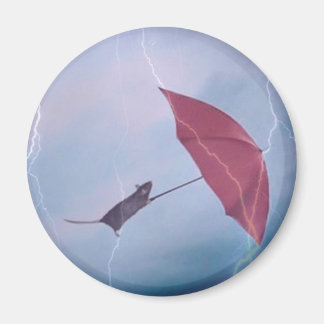 Imán Rat In A Storm Magnet