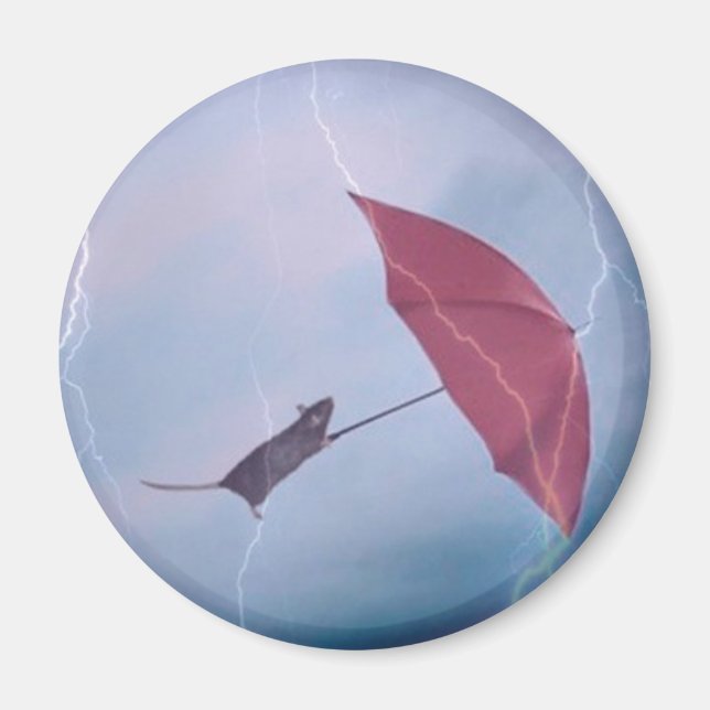 Imán Rat In A Storm Magnet (Frente)