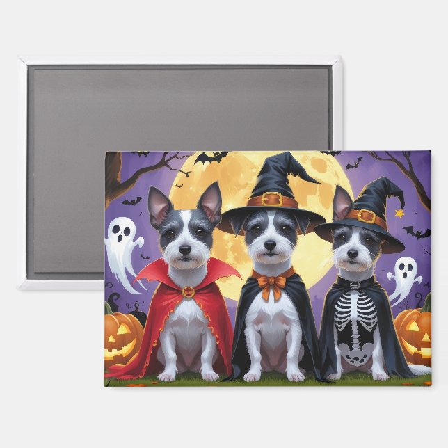 Imán Rat Terrier Perros Calabaza Halloween Graciosa (Anverso/Reverso)