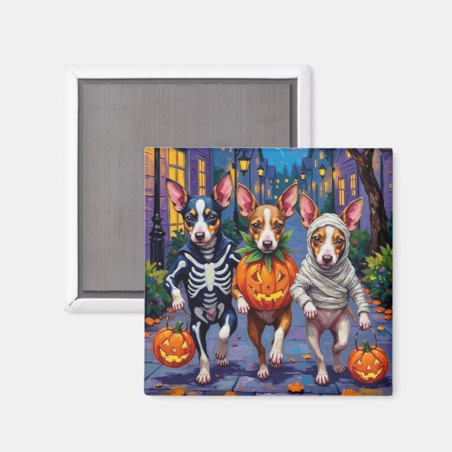 Imán Rat Terrier Trick-or-Treating Halloween Costumes (Anverso/Reverso)