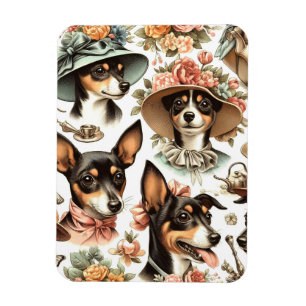 Imán Rat Terrier Viejo Sin Marea