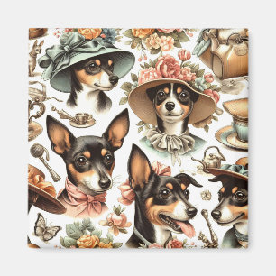 Imán Rat Terrier Viejo Sin Marea