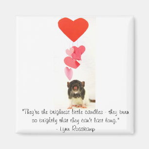 Imán Rata del corazón