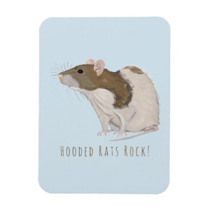 Imán Rata encapuchada de las ratas del Agouti