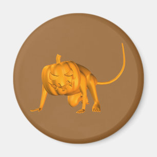 Imán Ratón de la casa