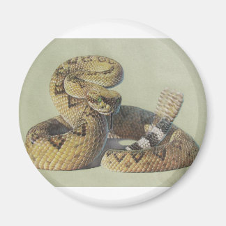 Imán Rattlesnake