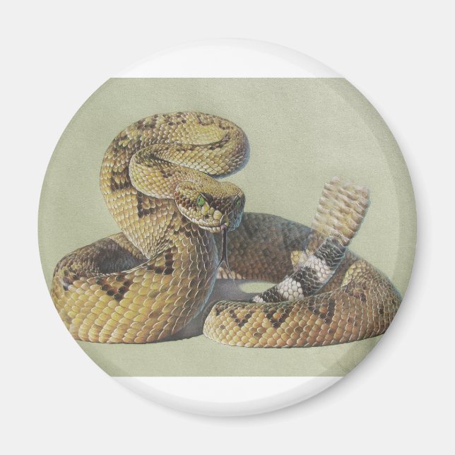 Imán Rattlesnake (Frente)
