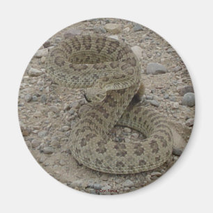 Imán Rattlesnake R9