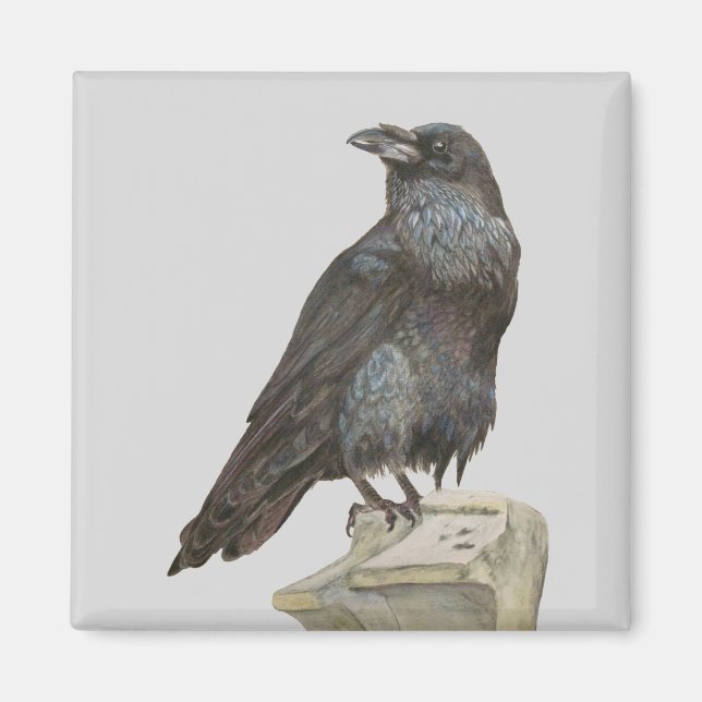 Imán Raven (Frente)