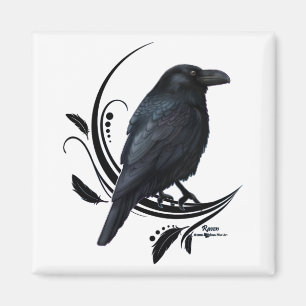 Imán Raven
