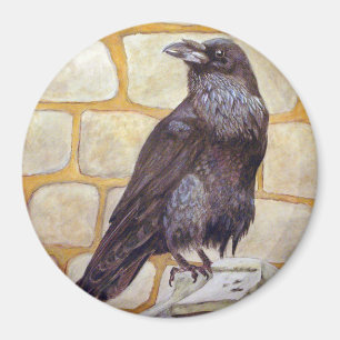 Imán Raven