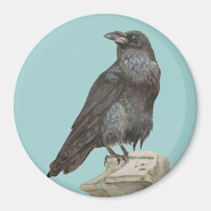 Imán Raven