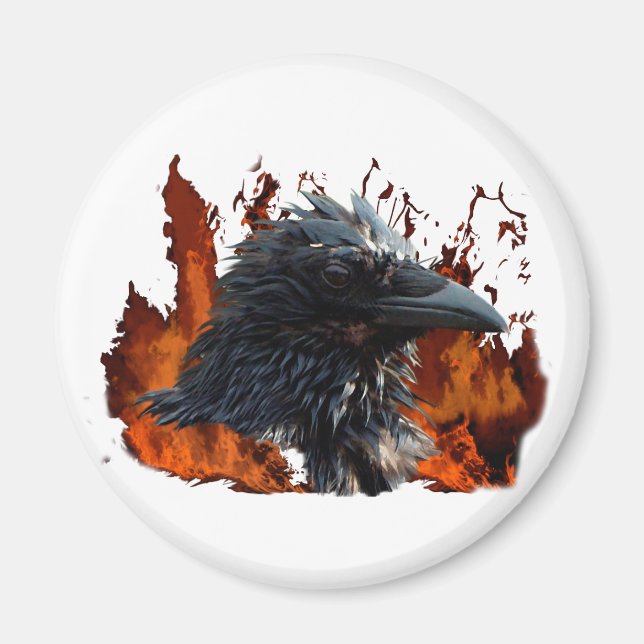 Imán Raven Magnets (Frente)