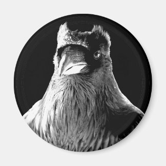 Imán Raven Magnets Espíritu nativo Fridge Magnet Animal