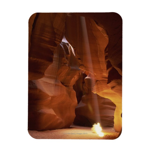 Imán Rayo de sol golpeando algas podridas en el suelo d (Vertical)