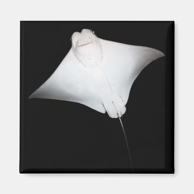 Imán Rayo sonriente (Frente)