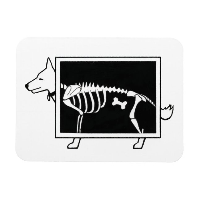 Imán Rayo X del perro (Horizontal)