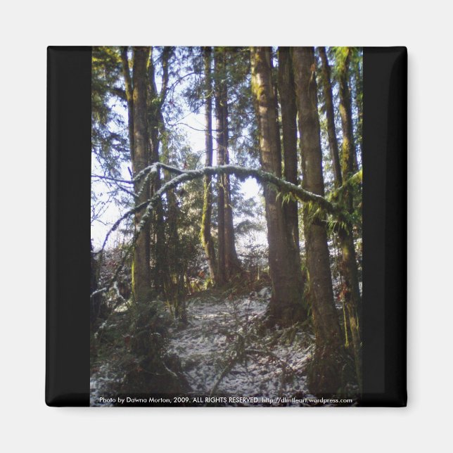 Imán Rayos de sol forestal en la nieve #32 (Frente)