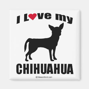 IMÁN "RAZA DEL PERRO" - CHIHUAHUA - "AMO MI CHIHUAHUA "