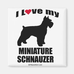 IMÁN "RAZA DEL PERRO" - SCHNAUZER MINIATURA - "AMO MI