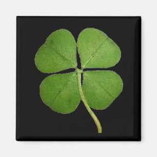 Imán Real 4 Leaf Clover Shamrock Black