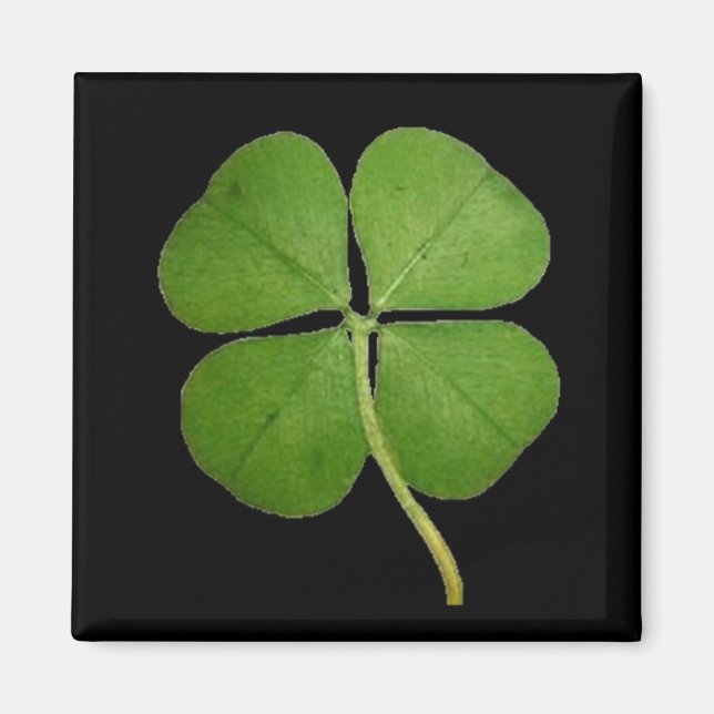 Imán Real 4 Leaf Clover Shamrock Black (Frente)