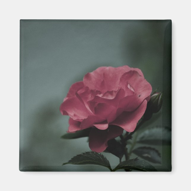 Imán Real Rubor Magnet (Frente)