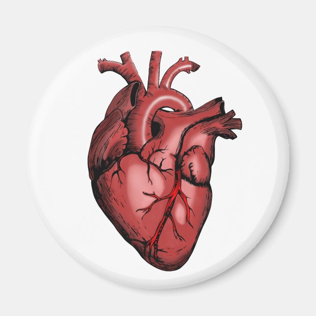 Imán Realistic Anatomical Heart Image (Frente)