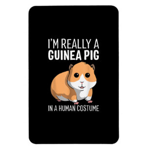Imán Realmente Soy Un Cerdo De Guinea Con Un Traje Huma