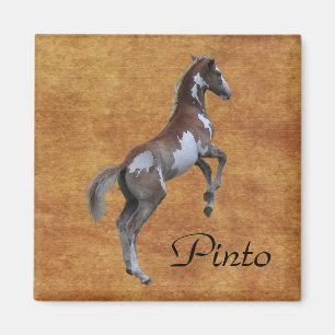 Imán Rearing Pinto Pony Horse lover Gift