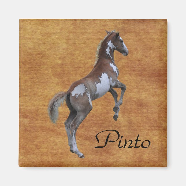 Imán Rearing Pinto Pony Horse lover Gift (Frente)