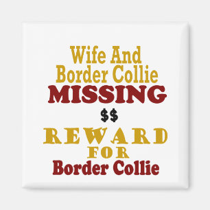 Imán Recompensa que falta del border collie y de la
