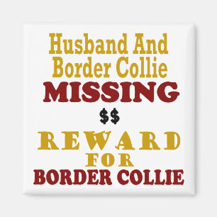 Imán Recompensa que falta del border collie y del