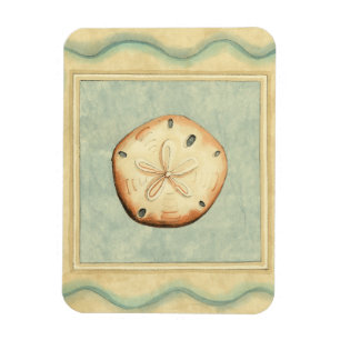 Imán Recopilador de shell