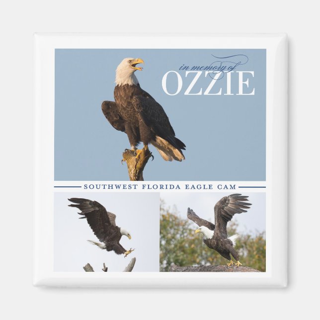 Imán Recordando a Ozzie Magnet (Frente)