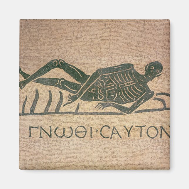 Imán Rectificación del esqueleto con la leyenda 'Conoce (Frente)