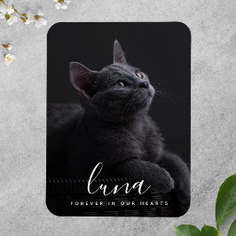 Imán Recuento de homenaje a la solidaridad con el masco