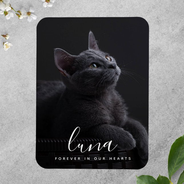 Imán Recuento de homenaje a la solidaridad con el masco (Photo Memorial Magnet)