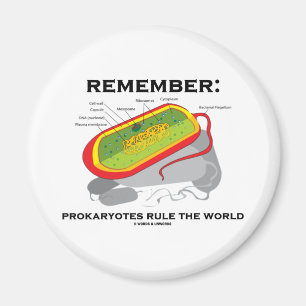 Imán Recuerde: Los Prokaryotes gobiernan el mundo