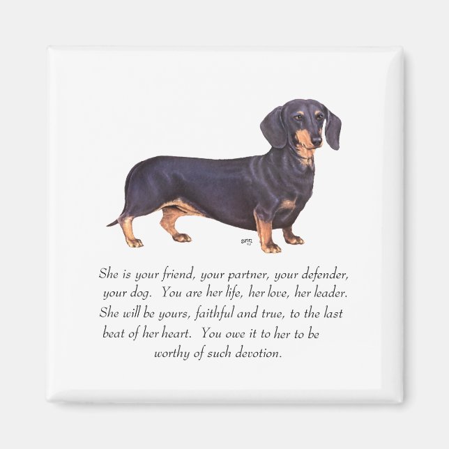 Imán Recuerdo de Dachshund - Hembra (Frente)