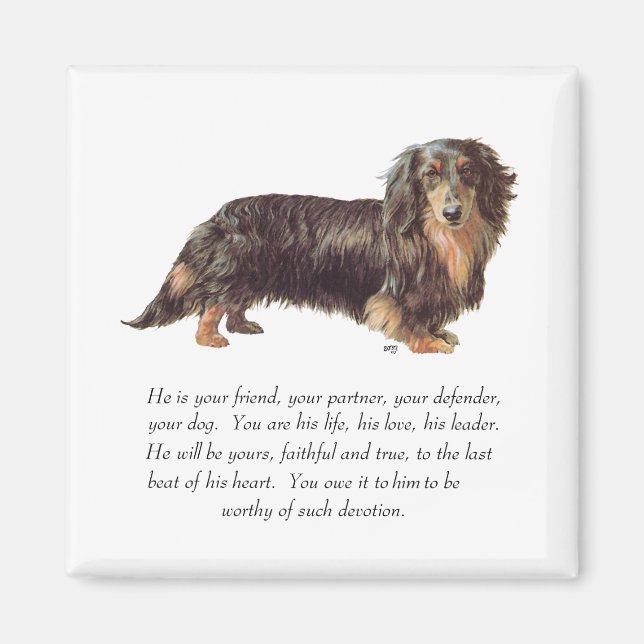Imán Recuerdo de Dachshund - Macho (Frente)
