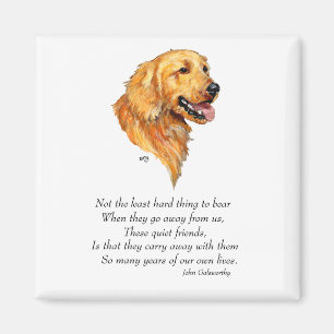 Imán Recuerdo de Golden Retriever
