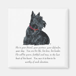 Imán Recuerdo de Terrier Escocés - Perro MACHO