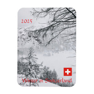 Imán Recuerdo Invierno en Suiza 2025 viaje