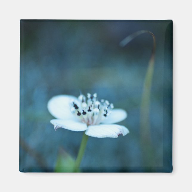 Imán Recuerdos de verano (Frente)